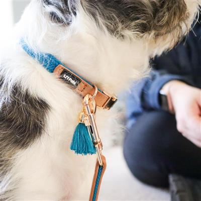 Li'l Pals® Woven Collars & Leads with Tassel