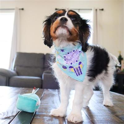 Li'l Pals® Birthday Combo, Teal, One Size - Bandana, Bow, & Toy