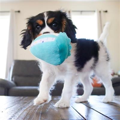 Li'l Pals® Birthday Combo, Teal, One Size - Bandana, Bow, & Toy