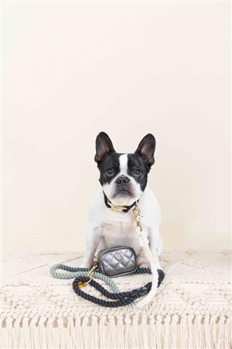 Melissa | Waste Bag Dispenser & Treat Pouch