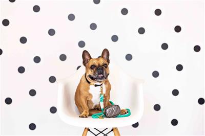Melissa | Waste Bag Dispenser & Treat Pouch