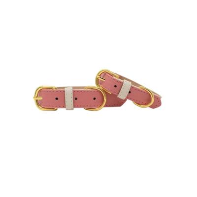 Lola | Dog Collar