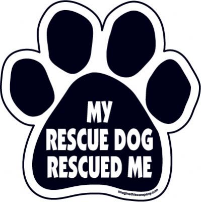 My rescue dog rescued me Paw Magnets