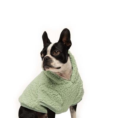 Seafoam Sherpa Hoodie