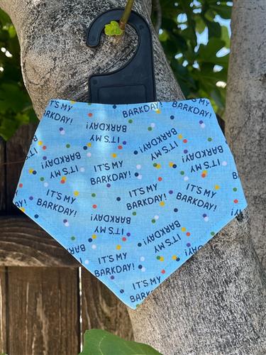 Bandana - It's My Barkday - Blue Birthday Dog Bandana