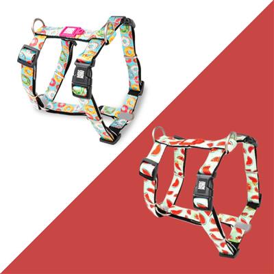 Max & Molly Easy Control, H-Harness Collection for Dogs