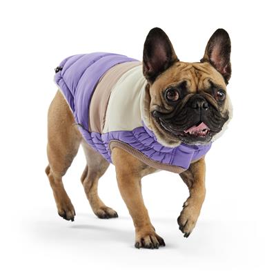 Color Block Puffer - Purple