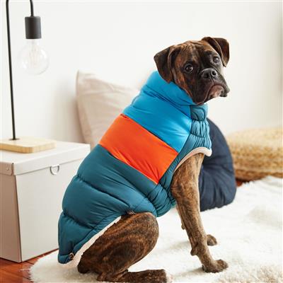 Color Block Puffer - Dark Teal