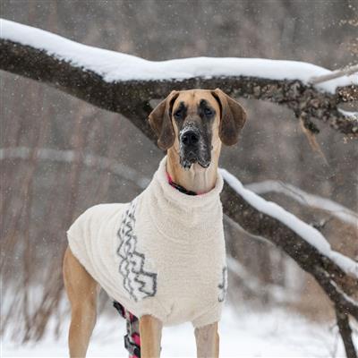 Fuzzy Sweater - Sand