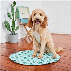 Extra Product Image