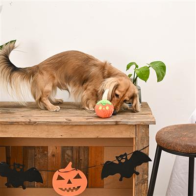 Howloween Night – Candy Apple