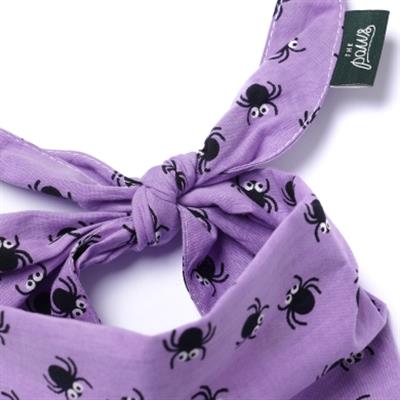 Spiders Dog Bandana