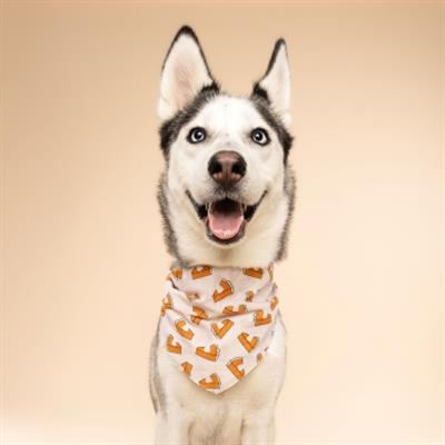 Pie Dog Bandana