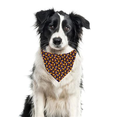 Halloween Bandana | Halloween Dog Bandana | Candy Corn Bandana | Fall Bandana