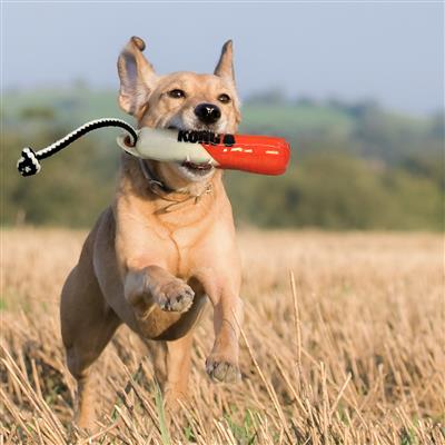 KONG Wild Shieldz Training Dummy Orange