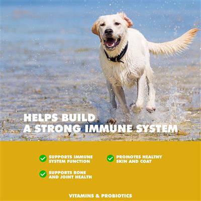UBAVET MULTIVIT Daily Vitamin and Mineral Tablet for Dogs