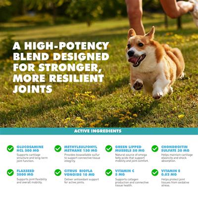 UBAVET Joint Gold Support Powder for Dogs & Cats (8.8 oz)