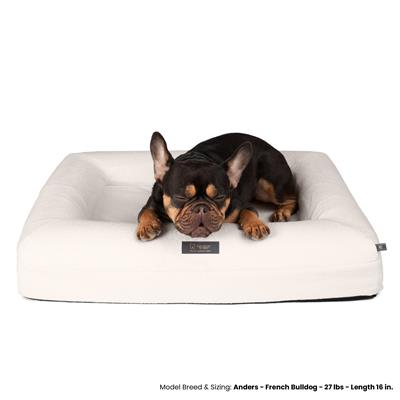 Orthopedic Dog Bed - Ivory