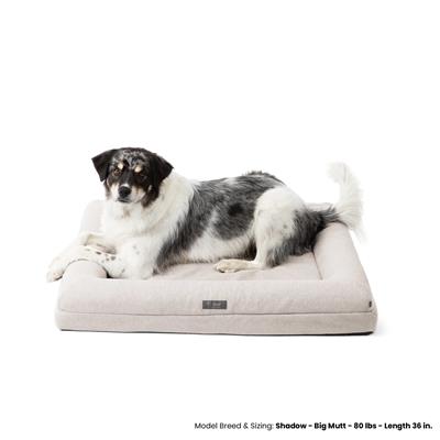 Orthopedic Dog Bed - Ivory