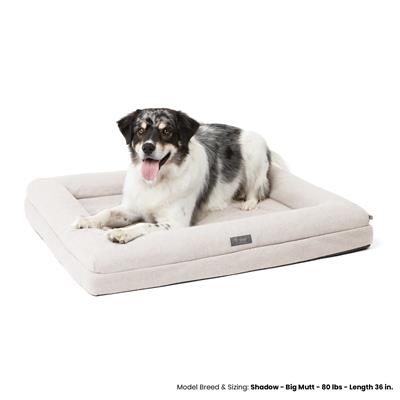 Orthopedic Dog Bed - Ivory