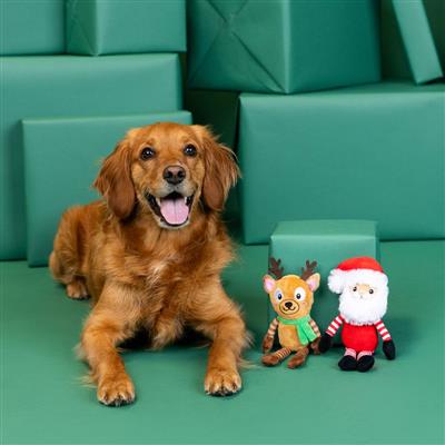 Friend At Frost Sight 2 Piece Dog Toy Set