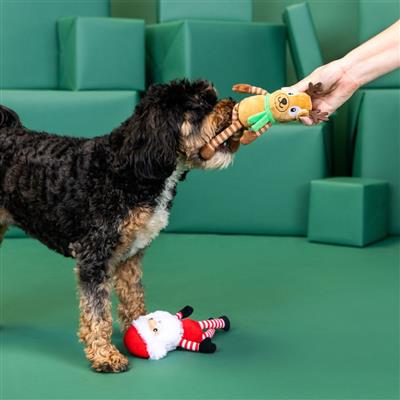 Friend At Frost Sight 2 Piece Dog Toy Set