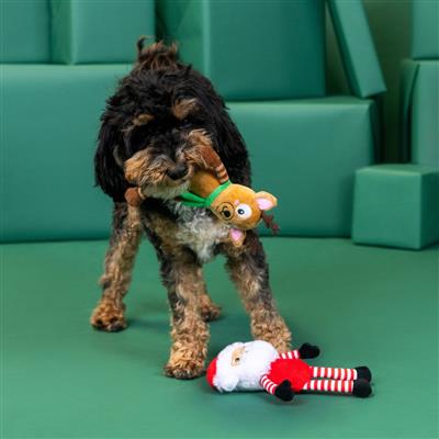 Friend At Frost Sight 2 Piece Dog Toy Set