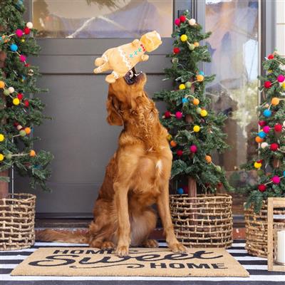 Cookie-Saurus Plush Dog Toy