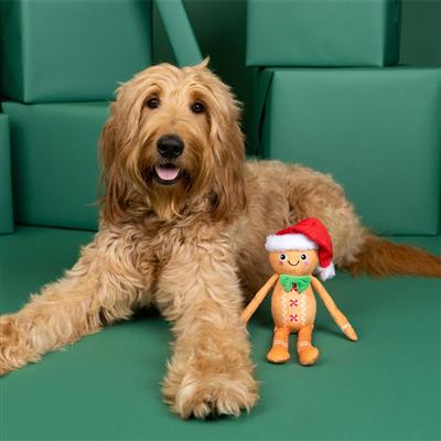 Seasons Eatings Plush Dog Toy