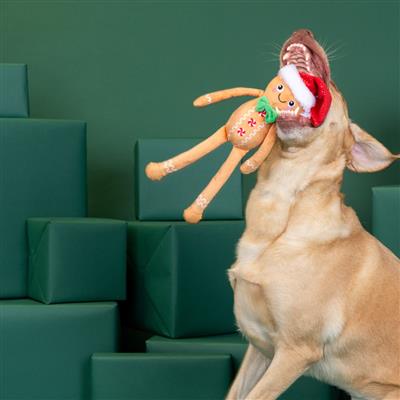 Seasons Eatings Plush Dog Toy