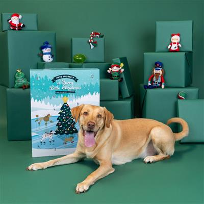 Furry Lil Chrismas Pet Advent Calendar