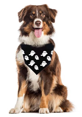 Halloween Bandana | Halloween Dog Bandana | Fall Bandana | Baby Ghosts