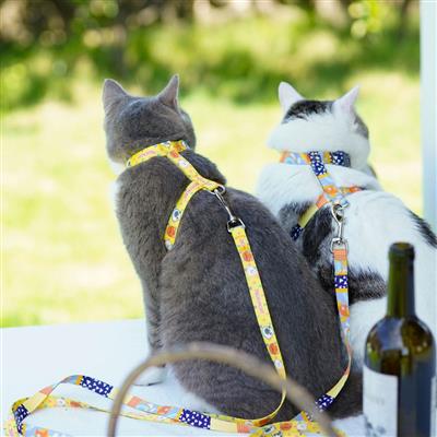 Touchcat ® Animal Patterned Fashion Cat Harness and Leash