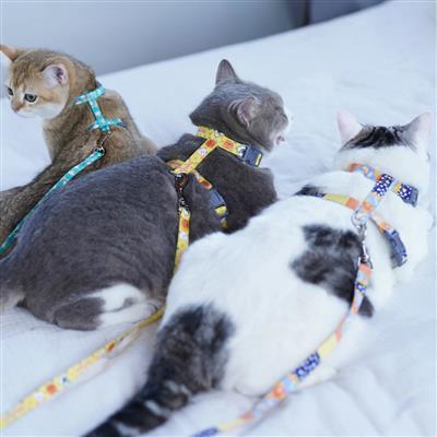 Touchcat ® Animal Patterned Fashion Cat Harness and Leash