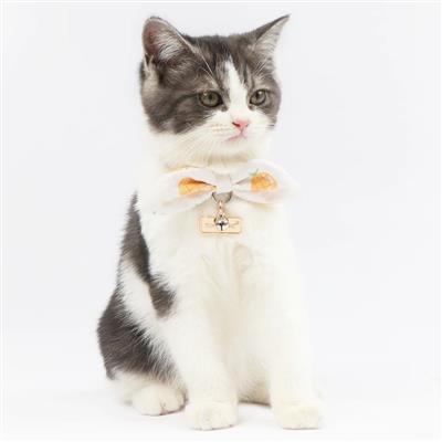 Touchcat ® Pineapple Patterned Designer Cat Collar - Yellow