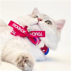 Extra Product Image