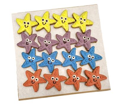 Starfish - Tray of 15