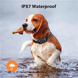Extra Product Image