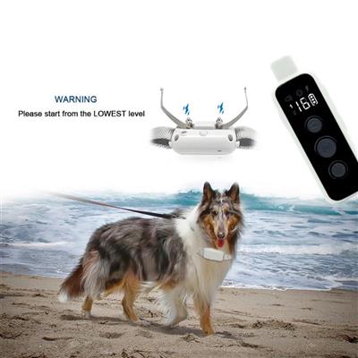 Pet Life ®  Embarker LED 1-to-2 Dog 2,000 Foot Range Vibration Tone and 16-Level Stimulation Training Dog Collar - Gray