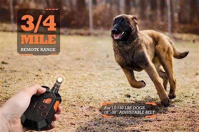 Pet Life ®  Latitude 1-to-2 Dog 1,000 Yard Range Vibration Tone and 16-Level Stimulation Training Dog Collar - Black