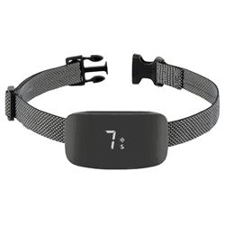 Extra Product Image