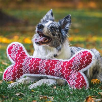 Nordic Frost 2 ft Durable Plush Bone Dog Toys