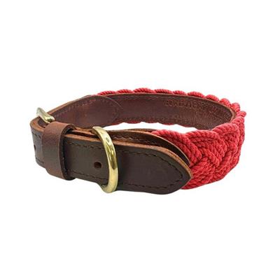 Seaside Dog Collar