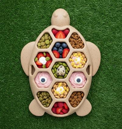Turtle Durable Nylon Chew and Enrichment Toy