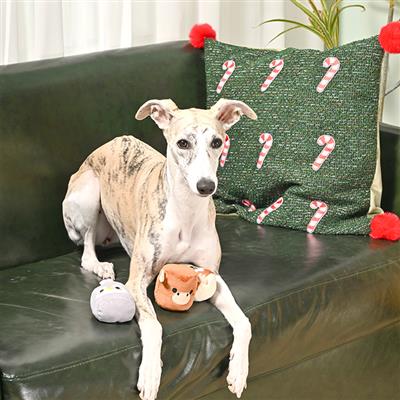 Happy Woofmas — Winter Marshmallows