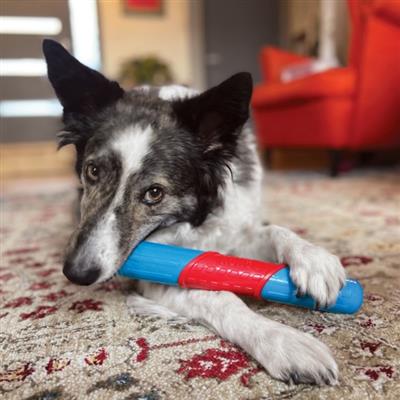 KONG® CoreStrength™ Rattlez Stick Dog Chew Toy Large