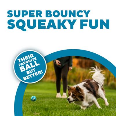 Squeaker Ballz Mlt SM 8pk