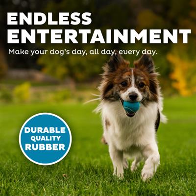 Squeaker Ballz Mlt SM 8pk