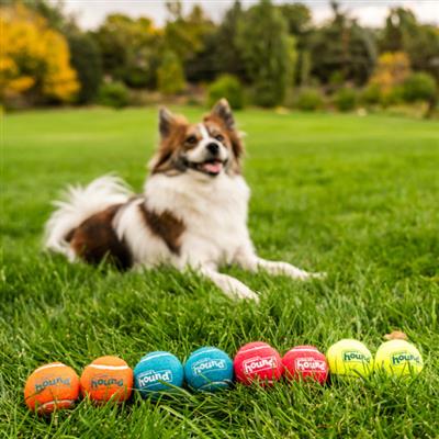 Squeaker Ballz Mlt SM 8pk