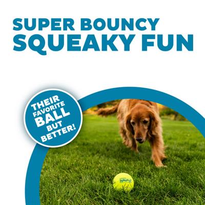 Squeaker Ballz Mlt LG 4pk